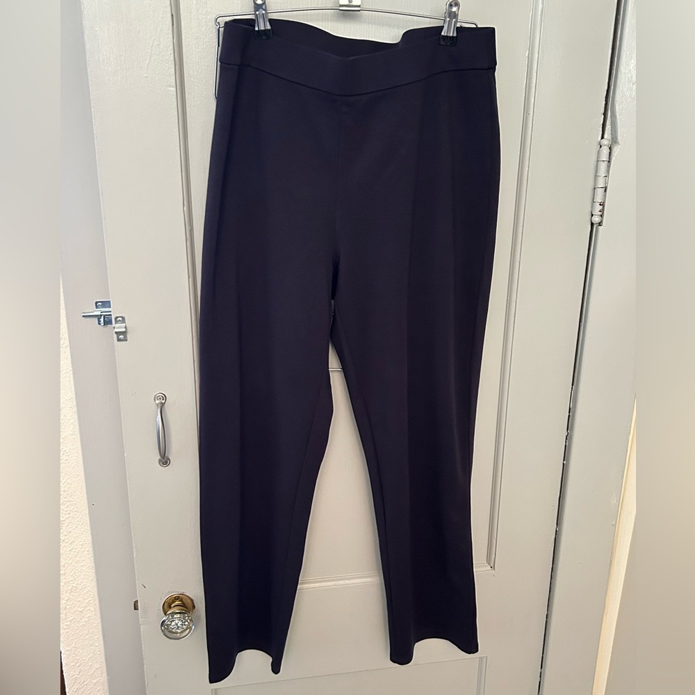 Eileen Fisher Women’s Deep Blue Pants